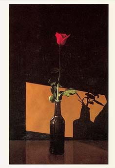 Postcard: "Still Life with Rose"
